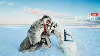 Pakari - Farewell to Winter: Andean Flute Melodies Live☀️