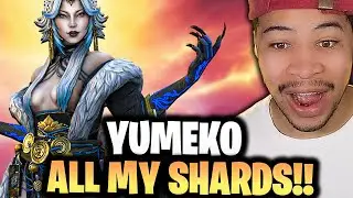 YUMEKO TOOK SOME MONEY FROM ME AND I'M NOT EVEN MAD | RAID: SHADOW LEGENDS