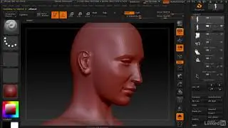 028 Deleting Polygons from a model with subdivision levels