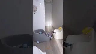 Тим упал?😱😱
