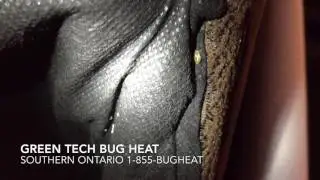 Where Are The Bed Bugs? On-Site Video Series Episode #3