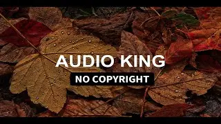 Silent Partner - Dog and Pony Show |[Vlog No Copyright Music]🎧|AK|Audio King|