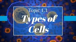 Topic 1.1 Cell Biology: Types of Cells