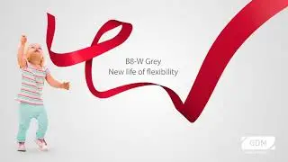 B8-W Grey: new life of flexibility