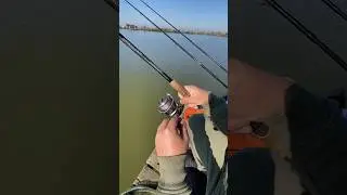Неожиданный улов!