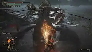 Elden Ring  FIGHT Lobsters on Steroids  VS  Fire Dragon Punch build !