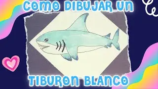 Como dibujar un Tiburón Blanco