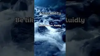 Adaptability 1 