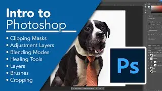 Photoshop Bootcamp for Beginners: Introduction to Photoshop (Part 1)
