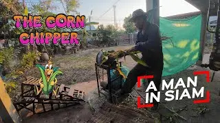 How much noise can you make to feed the cows?