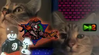Кошка, просадка и лего-бонус на 2nd-STREAM #26