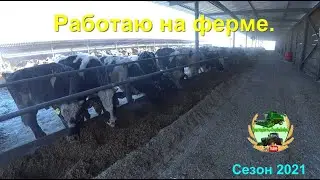 Работаю на ферме...