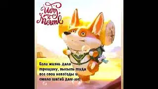 О нас - девочках с юмором 🧚
