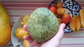 Мыло испанское. Какое мыло на Карибских островах.