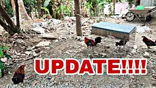UPDATE SA ATING MGA NATITIRANG HULING LABUYO!!