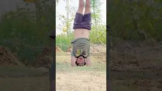 OMG 😱 Upboyraj 😂🤣 