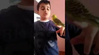 Ali İmran Özdemir ve kuşu Paşa bizi ziyarete geldi kanalının adı legolas özdemir hd