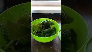 Рецепт малосольных  огурцов #рецептмалосольныхогурцов.