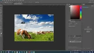 Adobe Photoshop dasturida Qatlamlar bilan ishlash