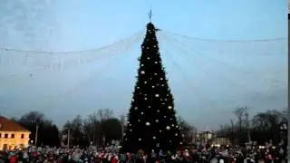 Ёлочка гори