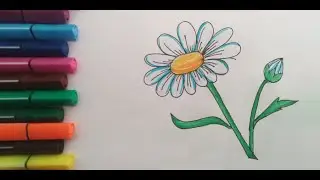 КАК НАРИСОВАТЬ РОМАШКУ/HOW TO DRAW CHAMOMILE/CHINNIGUL RASM CHIZISH/РОМАШКА СУРОТ ТАРТУУ/СУРЕТ САЛУ