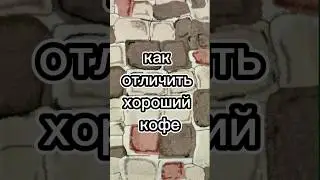 Как отличить хороший кофе, Эгоист Трюфель, Egoiste Truffle, Egoiste, настоящий кофе, кофе, 