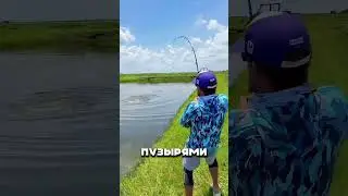 A 200-YEAR-OLD CATFISH WAS CAUGHT IN TATARIA 🤯