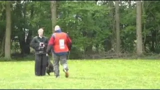 Axel van Eenenaam - KNPV Dutch Shepherd