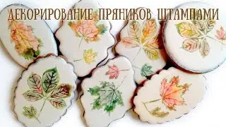 Декорирование Пряников Штампами Marzipan Candies