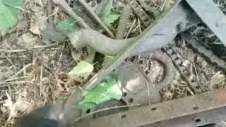 Один сброс сделал весь коп!