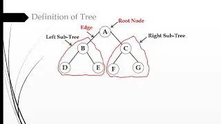 #13 What is Tree?| Binary Tree | Basic Terminology of Tree