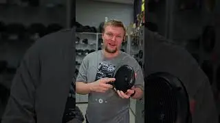 гидра