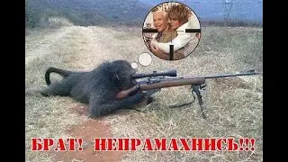 Пандемия радости