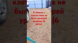 (6 часть) #гномы #тренд #существа #рыцари #тренды