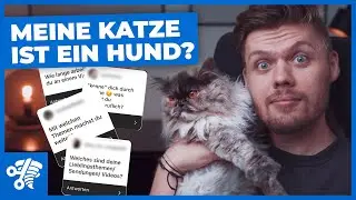 Meine Katze ist ein Hund? | Antworten auf Eure Fragen im Q&A
