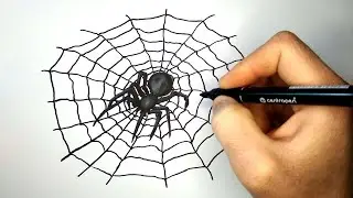Как нарисовать Паука на паутине | How to draw a spider