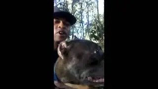 Bruce n Lola walk to the park