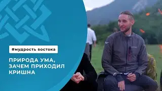 Природа ума, зачем приходил Кришна