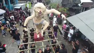 OGOH OGOH