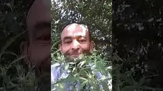 Амак майшайтдалар антрак килиб....😂😂😂😂😂