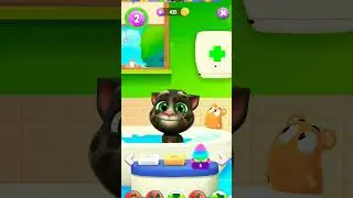 ये बिल्ला हसा हसाके आपको लोट पोट करदेगा 🐈 The funniest cat #shorts #youtubeshorts #viral #trending
