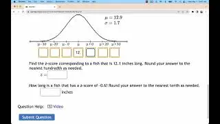How to Label the Axis Below a Normal Distribution Curve