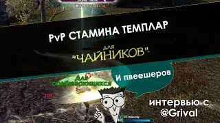 Stamina Templar PvP для чайников | The Elder Scrolls Online