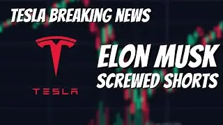 Tesla Stock Went CRAZY Today.. (Shorts lost -$1.6 Billion)
