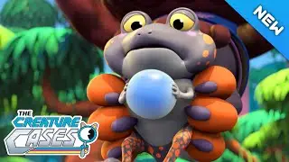 The Creature Cases - The Search for the Spotted Frog | Season 1 Best Bits! | Animal Detectives