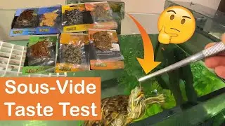 My Turtle Tries Sous-Vide Insects... | Exo Terra Insects
