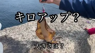 【釣れない時こそコレ！】長崎で子供が輝く！家族で楽しめるキス釣り体験