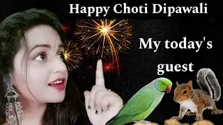 Happy Diwali 🙏 ये हैं मेरे आज के cute मेहमान 🥰 ( Part-2)