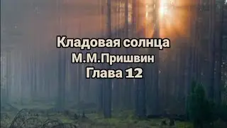 "Кладовая солнца"/М.М.Пришвин/Глава 12