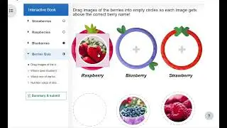 H5P Berries Sample Demo and Download